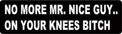 No More Mr. Nice Guy On Your Knees Bitch (1 Dozen)
