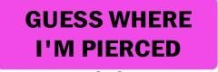 Guess Where I'M Pierced (1 Dozen)