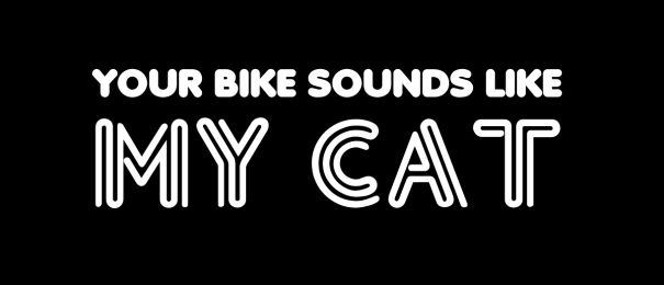 Your Bike Sounds Like My Cat Motorcycle Helmet Sticker (1 Dozen)