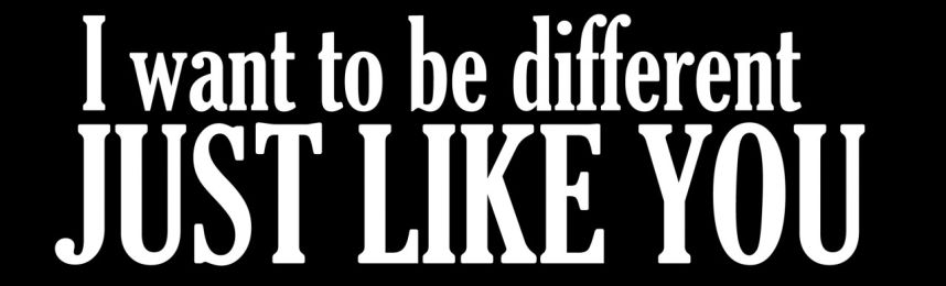 I Want To Be Different, Just Like You Motorcycle Helmet Sticker (1 Dozen)