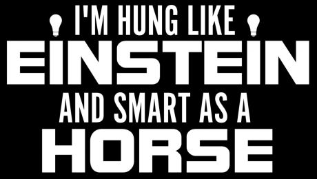 Hung Like Einstein, Smart As A Horse Motorcycle Helmet Sticker (1 Dozen)