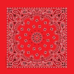 NT4401 Bandana Paisley Red