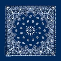 NT4402 Bandana Paisley Navy