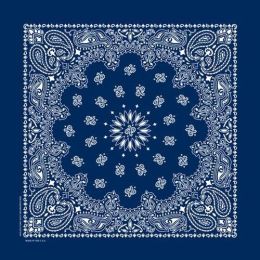 NT4402 Bandana Paisley Navy