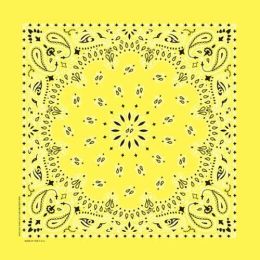 NT4403 Bandana Paisley Yellow