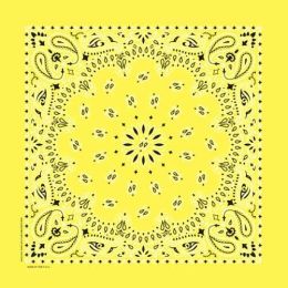 NT4403 Bandana Paisley Yellow