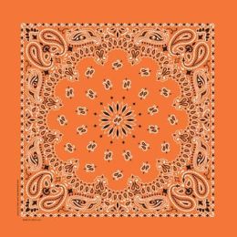 NT4404 Bandana Paisley Orange