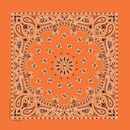 NT4404 Bandana Paisley Orange