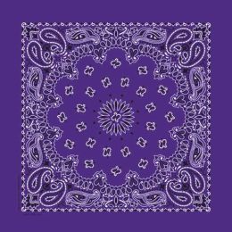 NT4406 Bandana Paisley Purple