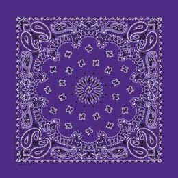 NT4406 Bandana Paisley Purple