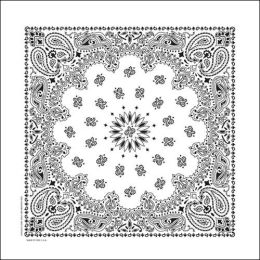 NT4409 Bandana Paisley White