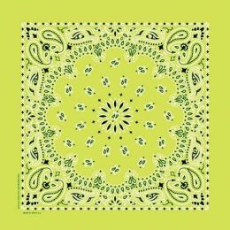 NT4410 Bandana Paisley Lime