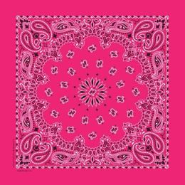 NT4413 Bandana Paisley Hot Pink