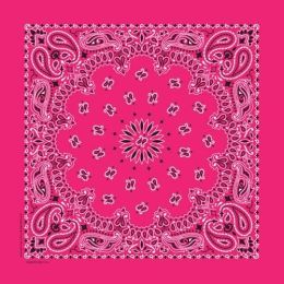 NT4413 Bandana Paisley Hot Pink