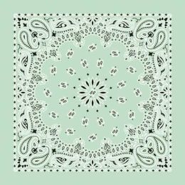 NT4414 Bandana Paisley Mint
