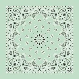 NT4414 Bandana Paisley Mint