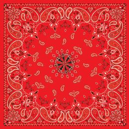 B003- Bandanna Red Paisley