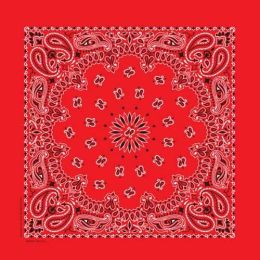 BD2500 Bandana Paisley Red