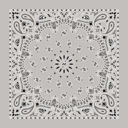 BD2502 Bandana Paisley Silver