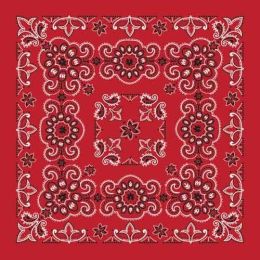 BD2507 Bandana Texas Paisley Red [27" x27"]