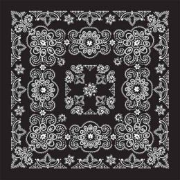 BD2508 Bandana Texas Paisley Black [27" x27"]