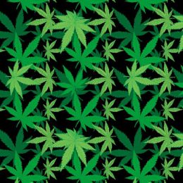 BD2510 Bandana Cannabis