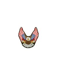 Eagle American Flag Wings Patch